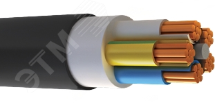 Кабель силовой ВВГнг(А)-LS 5х25,0 мк (N, РЕ)-0,66 ТРТС